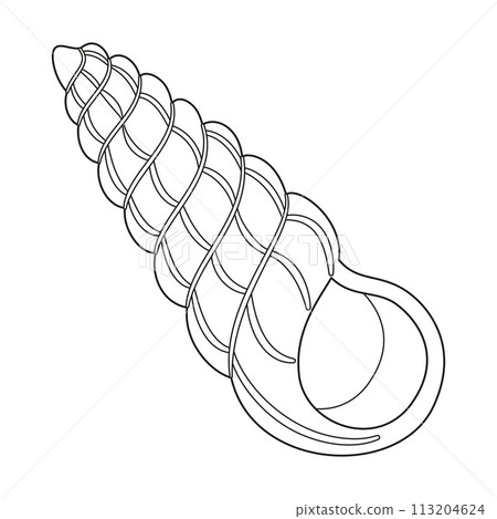 Seashell. Black and white outline. Art therapy Coloring page 113204624