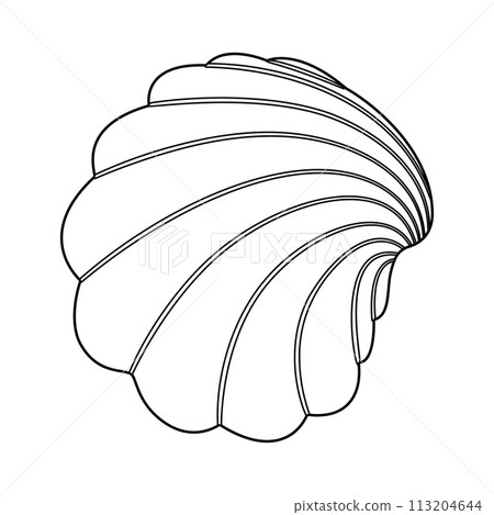 Seashell. Black and white outline. Art therapy Coloring page 113204644