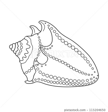 Seashell. Black and white outline. Art therapy Coloring page Seashell. Black and white outline. Art therapy Coloring page 113204650