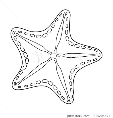 Starfish Black and white. Art therapy Coloring page Starfish Black and white. Art therapy Coloring page 113204677