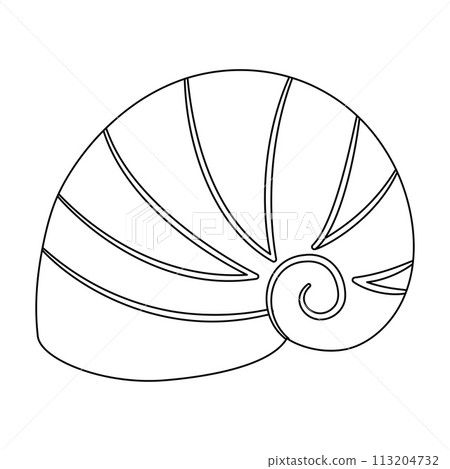 Seashell. Black and white outline. Art therapy Coloring page 113204732