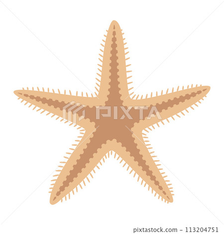 Dried starfish. Starfish flat icon. Sea animal cartoon style. Echinoderm. Dried starfish. Starfish flat icon. Sea animal cartoon style. Echinoderm. 113204751