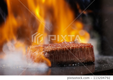 夏多布里昂烤肉 113204792