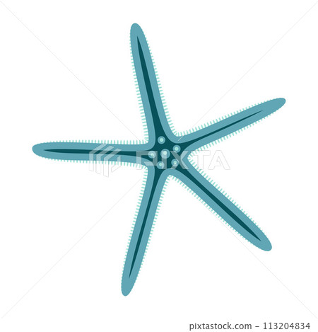 Blie Starfish flat icon. Linckia Sea animal cartoon style. Echinoderm. Underwater world 113204834