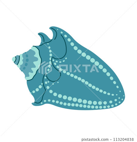 Seashell Hand drawn. Cartoon style flat illustration isolated on white background. 113204838
