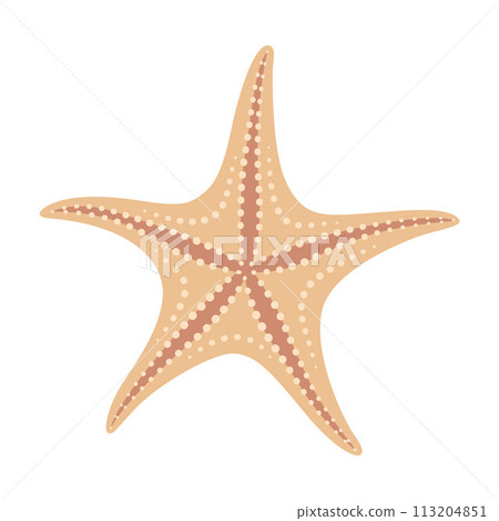 Dried starfish. Starfish flat icon. Sea animal cartoon style. Echinoderm.  113204851