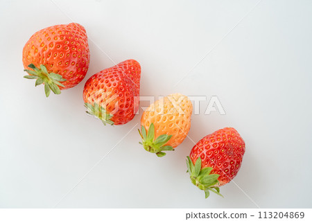 比較吃草莓 比較吃草莓 113204869
