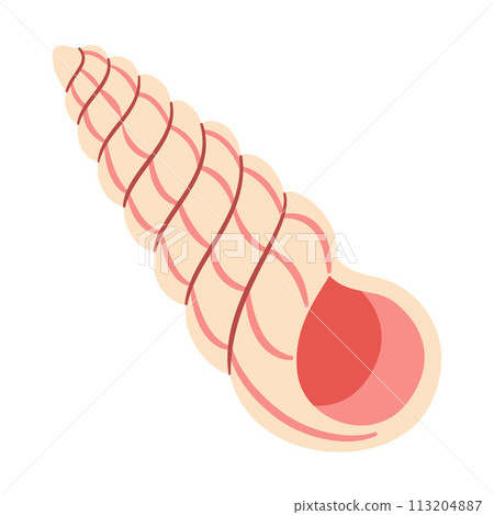 Seashell Hand drawn. Cartoon style flat illustration seashell isolated on white background. Seashell Hand drawn. Cartoon style flat illustration seashell isolated on white background. 113204887