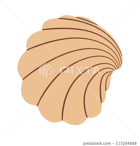 Seashell Hand drawn. Cartoon style flat illustration seashell isolated on white background. Seashell Hand drawn. Cartoon style flat illustration seashell isolated on white background. 113204888