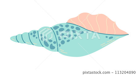 Seashell Hand drawn. Rapa Snail Cartoon style flat illustration seashell isolated on white background. Seashell Hand drawn. Rapa Snail Cartoon style flat illustration seashell isolated on white background. 113204890