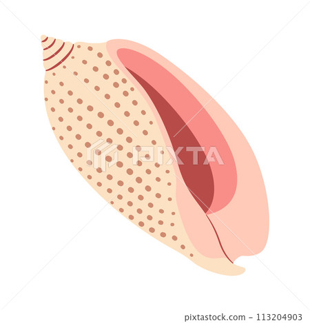 Seashell Hand drawn. Volute Cartoon style flat illustration seashell isolated on white background. 113204903