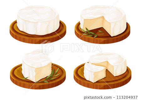 Set Camembert cheese, brie french soft creamy food on wooden tray with rosemary in cartoon style isolated on white background.  113204937