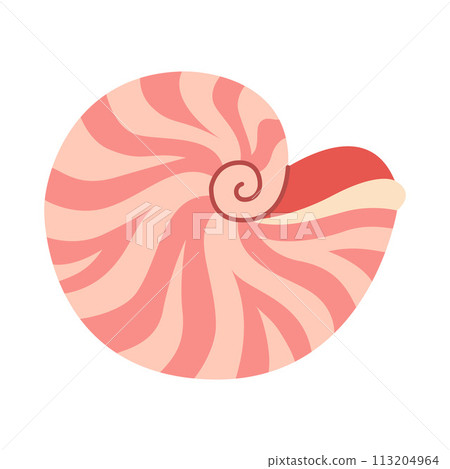 Seashell Hand drawn. Nautilus pompilius Cartoon style flat seashell isolated on white background. Seashell Hand drawn. Nautilus pompilius Cartoon style flat seashell isolated on white background. 113204964