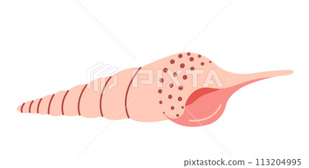 Seashell Murex Hand drawn. Cartoon style flat illustration seashell isolated on white background. 113204995