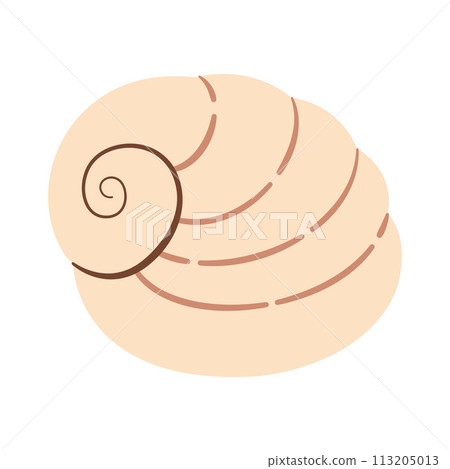 Seashell Hand drawn. Cartoon style flat illustration seashell isolated on white background. Seashell Hand drawn. Cartoon style flat illustration seashell isolated on white background. 113205013