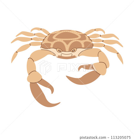 Crab. Hand drawn flat style crab. Sea animal 113205075