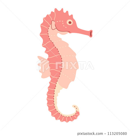 Pink seahorse. Sea hippocampus flat illustration isolated on white background Pink seahorse. Sea hippocampus flat illustration isolated on white background 113205080