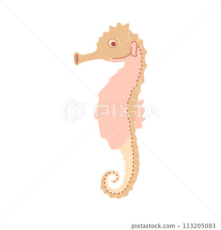 Cute seahorse. Sea hippocampus flat illustration isolated on white background Cute seahorse. Sea hippocampus flat illustration isolated on white background 113205083