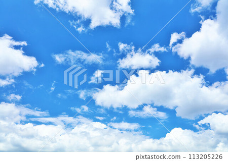 夏天的藍天白雲 夏天的藍天白雲 113205226