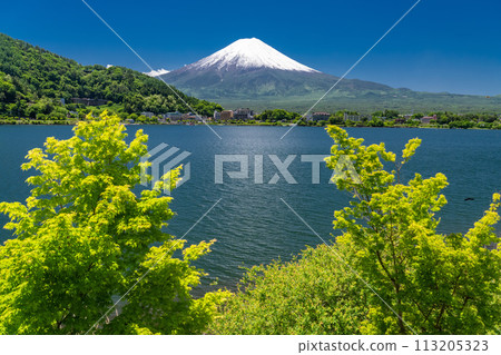[Yamanashi Prefecture] Mount Fuji in early summer and the fresh greenery of Lake Kawaguchi 113205323