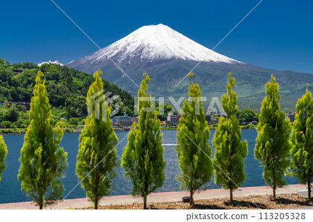 [Yamanashi Prefecture] Mount Fuji in early summer and the fresh greenery of Lake Kawaguchi 113205328