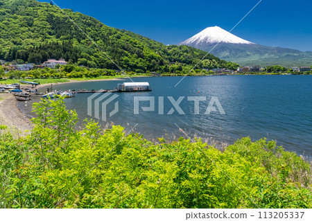 [Yamanashi Prefecture] Mount Fuji in early summer and the fresh greenery of Lake Kawaguchi 113205337