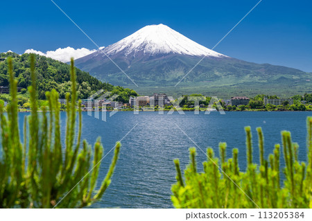 [Yamanashi Prefecture] Mount Fuji in early summer and the fresh greenery of Lake Kawaguchi 113205384