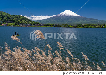【山梨縣】初夏的富士山、河口湖畔的新綠 【山梨縣】初夏的富士山、河口湖畔的新綠 113205395
