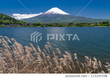 【山梨縣】初夏的富士山、河口湖畔的新綠 【山梨縣】初夏的富士山、河口湖畔的新綠 113205396