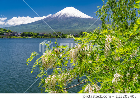 【山梨縣】初夏的富士山、河口湖畔的新綠 【山梨縣】初夏的富士山、河口湖畔的新綠 113205405