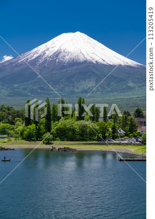 [Yamanashi Prefecture] Mount Fuji in early summer and the fresh greenery of Lake Kawaguchi 113205419