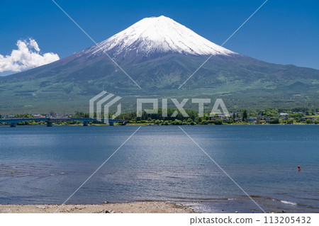 【山梨縣】初夏的富士山、河口湖畔的新綠 113205432