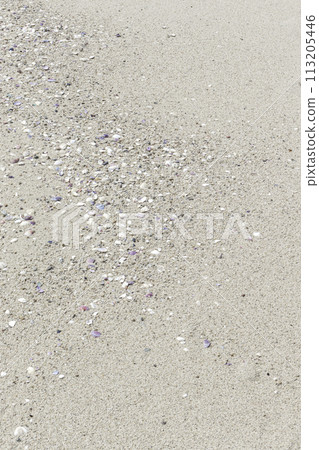 Small shells and sand background Small shells and sand background 113205446
