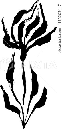 Grunge Dry Brush Ink Wild Flower Grunge Dry Brush Ink Wild Flower 113205447