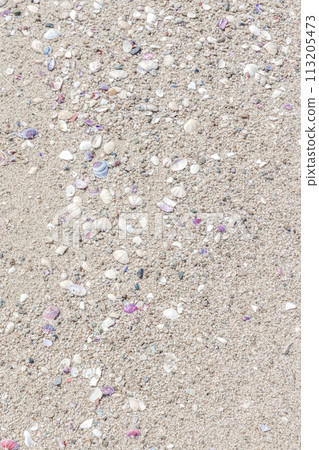 Small shells and sand background Small shells and sand background 113205473