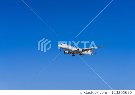 《Airplane》Airbus A350 XWB > A350-900 《Airplane》Airbus A350 XWB > A350-900 113205650