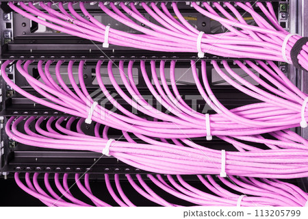 bunch of patch network cables sorted in rack cabinet, leading from patch panel in the server rack in the data center room 113205799
