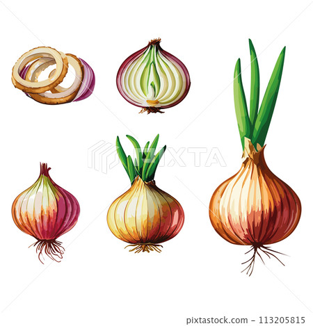 Bow vector illustration 113205815