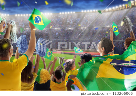 Brazil football team supporter on stadium. 113206006
