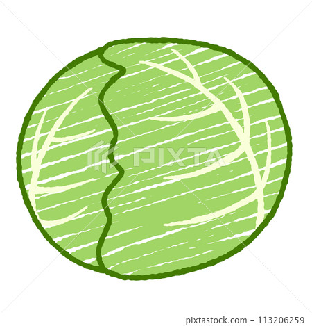 簡單的白菜的插圖 113206259