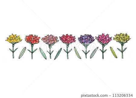 水性筆和透明水彩畫水平康乃馨和葉子的插圖L 水性筆和透明水彩畫水平康乃馨和葉子的插圖L 113206334