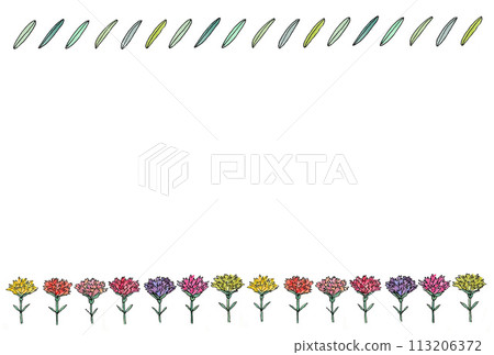 Frame illustration of leaves and carnations drawn with water-based pens and transparent watercolors 113206372