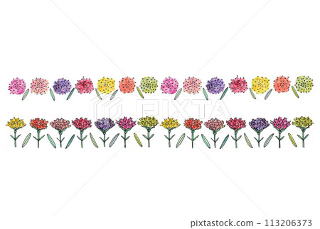 An illustration of carnations lined up side by side, large carnations and leaves drawn with water-based pens and transparent watercolors. An illustration of carnations lined up side by side, large carnations and leaves drawn with water-based pens and transparent watercolors. 113206373