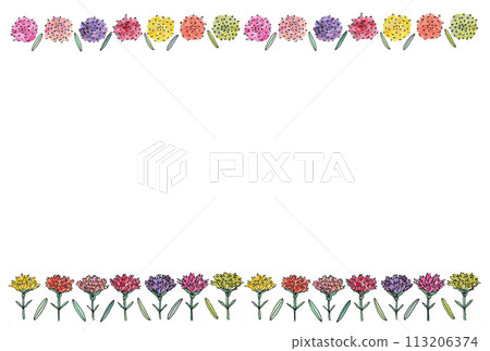 A frame illustration of carnations lined up side by side, large carnations, and leaves drawn with a water-based pen and transparent watercolor paint. 113206374