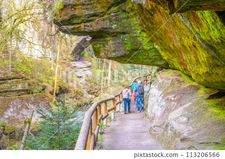 A group of hikers explores a mossy, rocky gorge with a pathway with wooden railings in Bohemian Switzerland National Park, Czechia 113206566