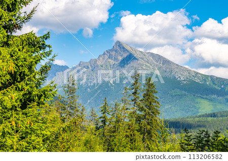A sunny day view of Krivan, capturing its rugged peak against a blue sky with white clouds, surrounded by lush greenery. High Tatras, Slovakia 113206582