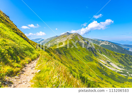 A hiker traverses a trail on Chopok Mountain with lush green slopes and clear blue skies. Low Tatras, Slovakia 113206583