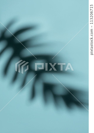 Abstract Shadow of a Tropical Leaf on a Light Blue Background in Soft Focus 113206715