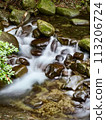 Small waterfall in the forest 113206724