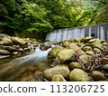 Small waterfall in the forest 113206725